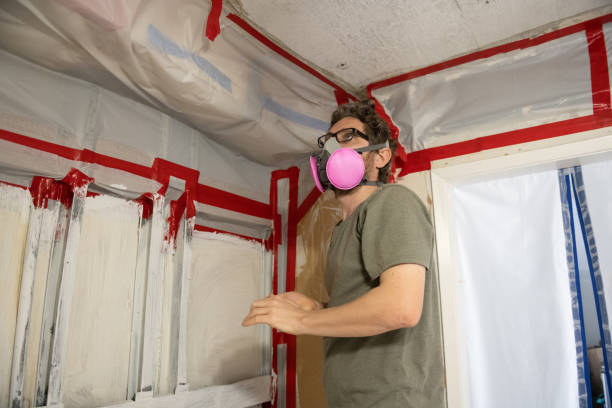 Best Mold Odor Removal Services  in South Haven, MI